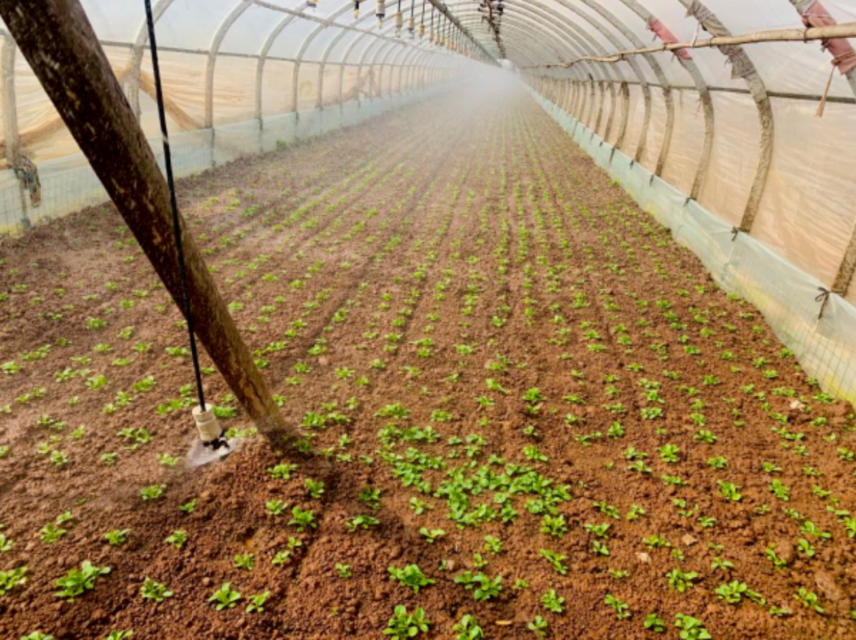 1775024554881798.png 5.png